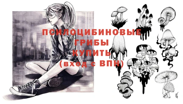 a pvp Нея