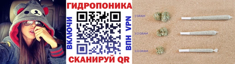 Бошки Шишки планчик МЕГА ссылка Усть-Катав